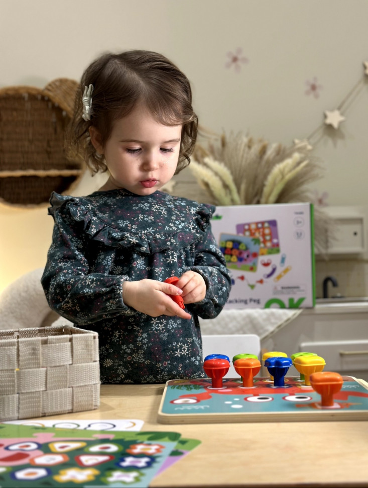 Багатофункціональна мозаїка Tooky toy TK089