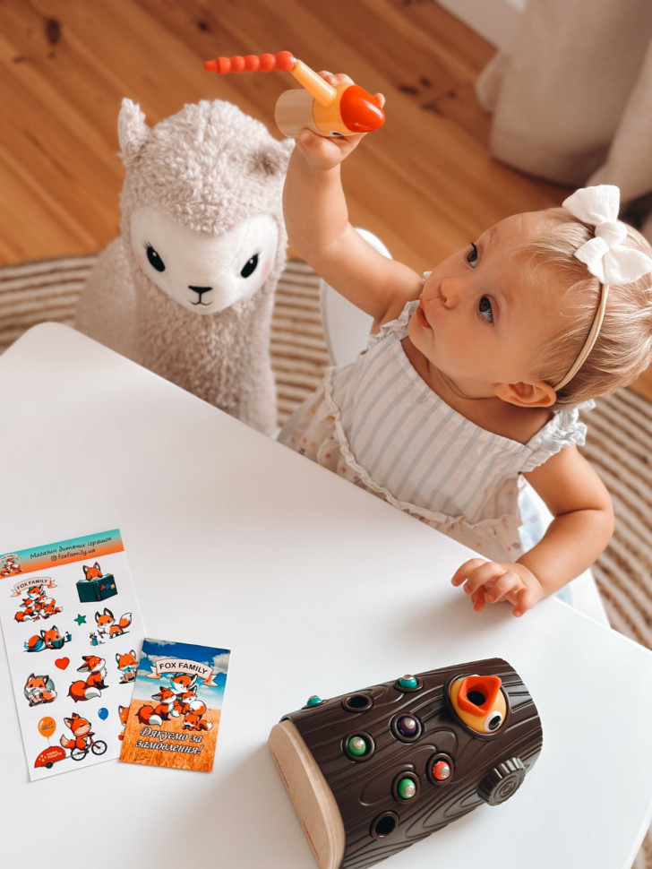 Гра "Нагодуй пташення" Topbright