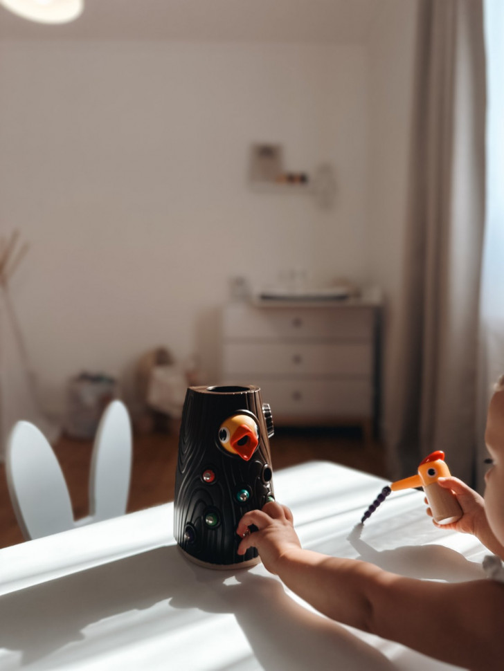 Гра "Нагодуй пташення" Topbright