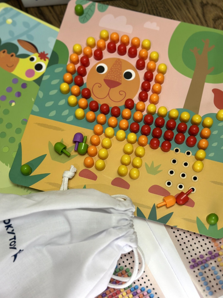 Дрібна мозаїка Tooky toy TL002