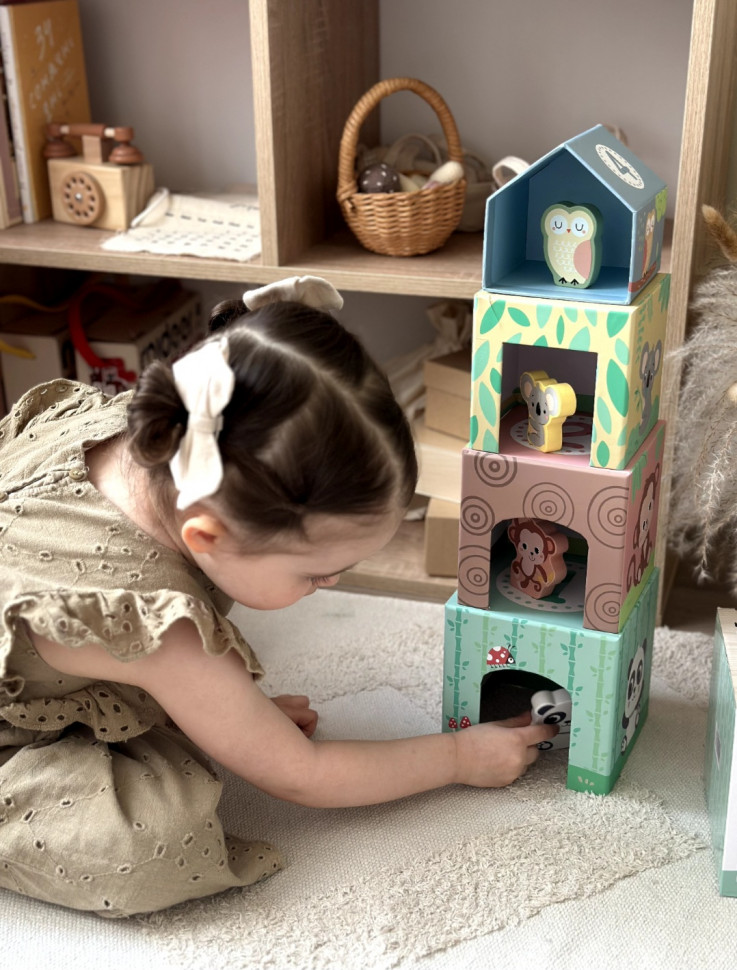 Пірамідка "Джунглі" від HiPando , HP031