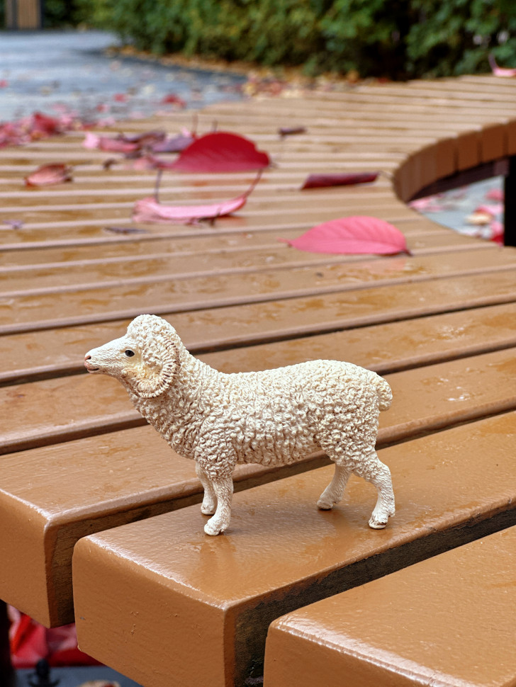 Бокс фігурок "Свійські тварини/ ферма"  від mideer , md2263