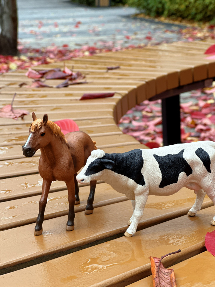 Бокс фігурок "Свійські тварини/ ферма"  від mideer , md2263