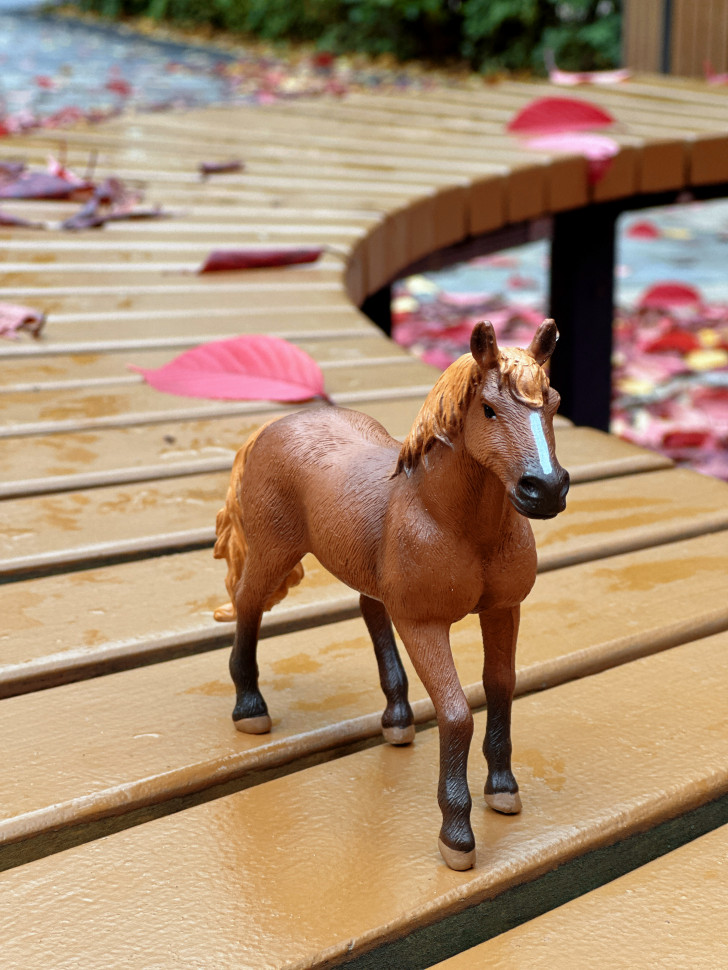 Бокс фігурок "Свійські тварини/ ферма"  від mideer , md2263