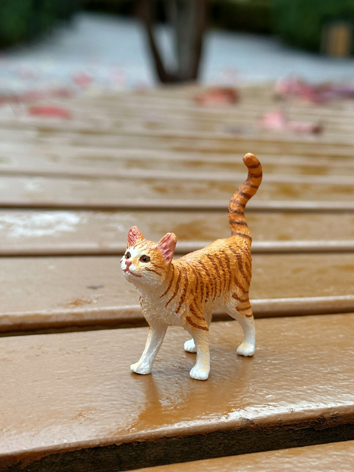 Бокс фігурок "Свійські тварини/ ферма"  від mideer , md2263