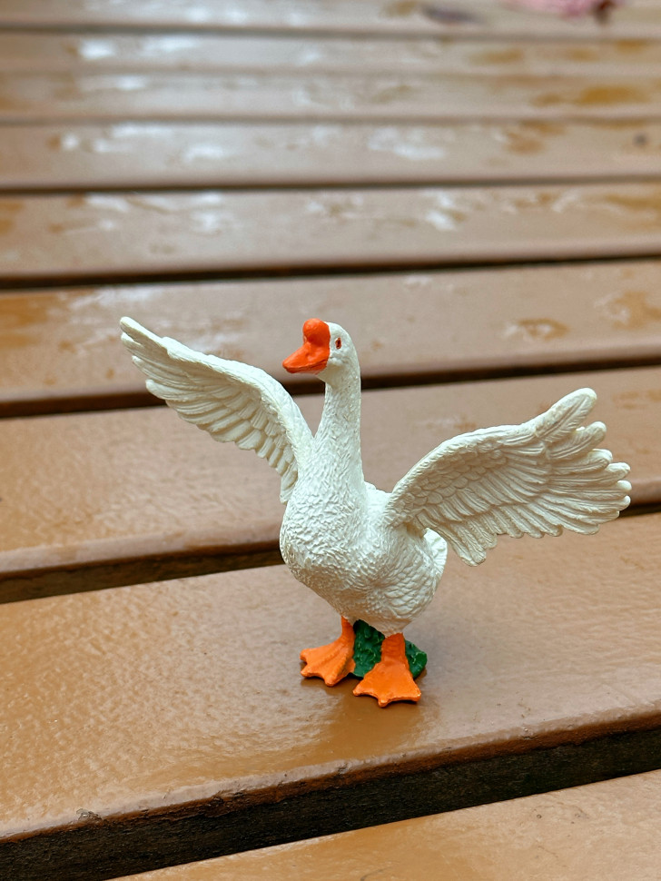 Бокс фігурок "Свійські тварини/ ферма"  від mideer , md2263