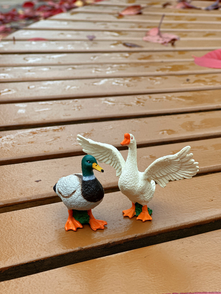 Бокс фігурок "Свійські тварини/ ферма"  від mideer , md2263