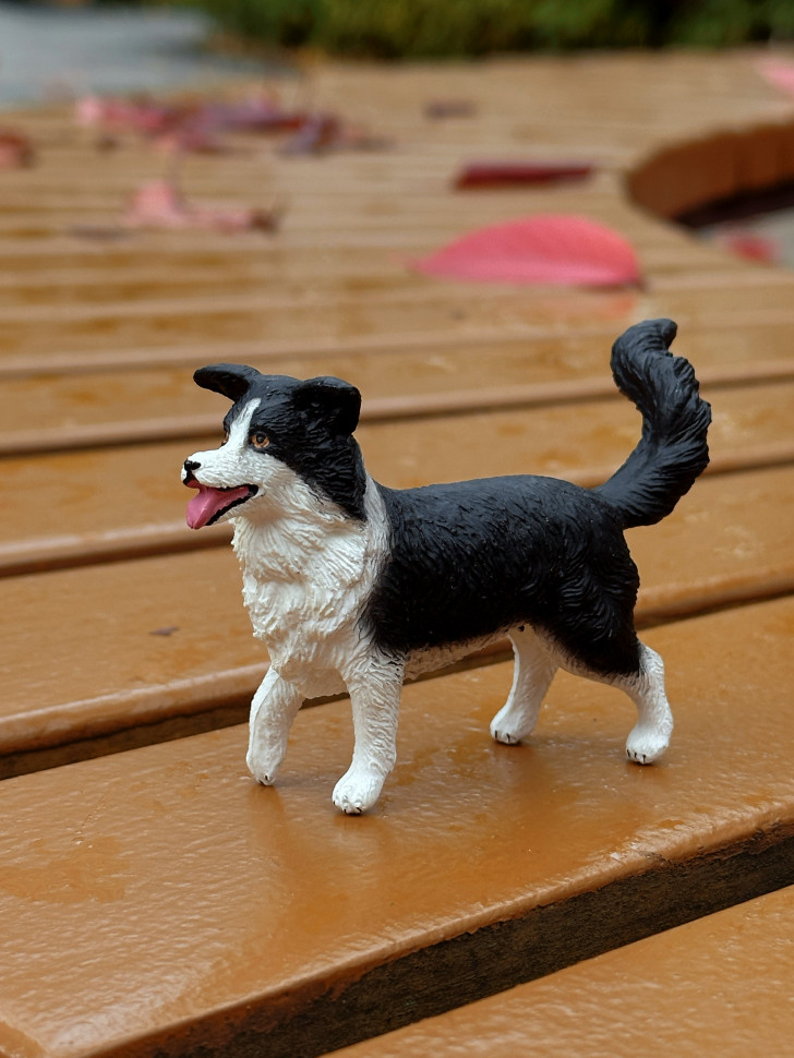 Бокс фігурок "Свійські тварини/ ферма"  від mideer , md2263