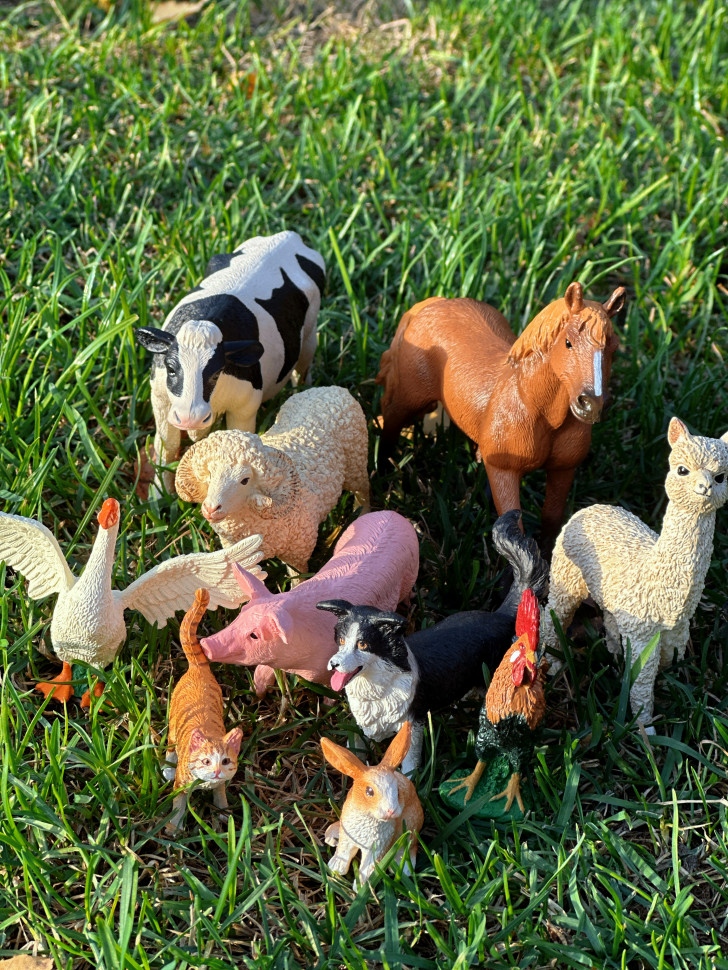 Бокс фігурок "Свійські тварини/ ферма"  від mideer , md2263