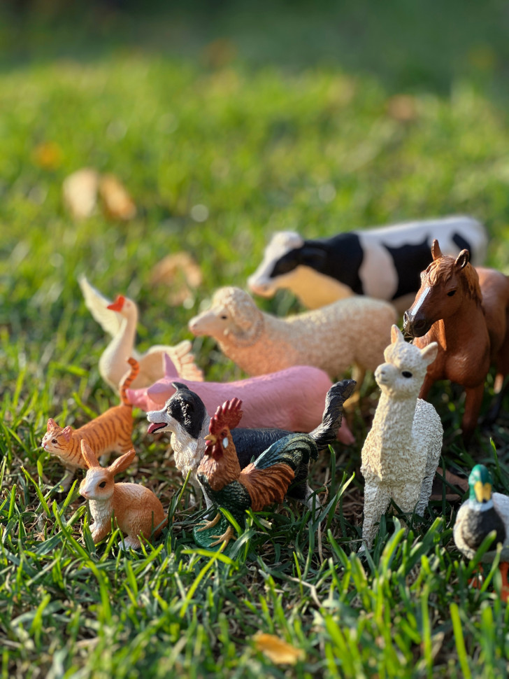 Бокс фігурок "Свійські тварини/ ферма"  від mideer , md2263