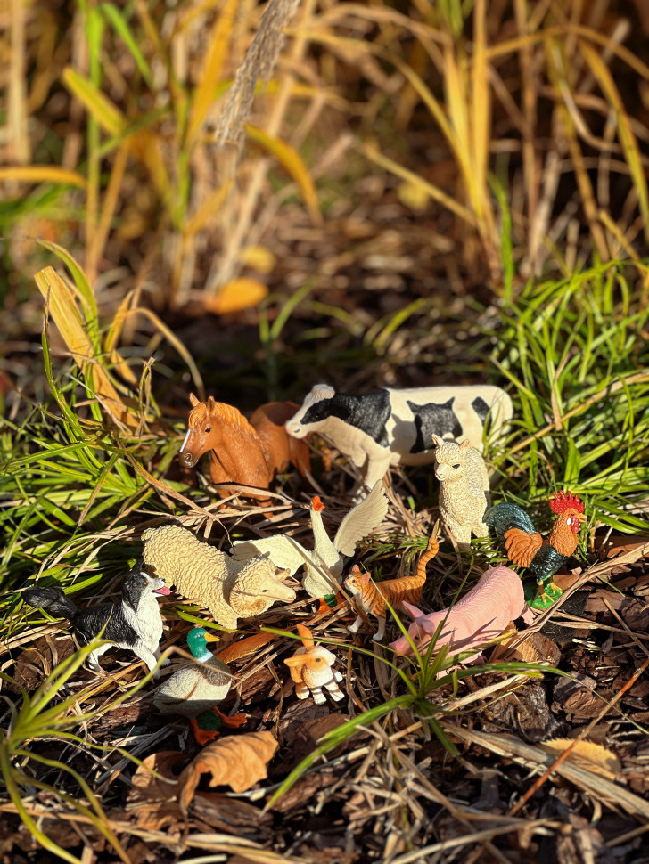 Бокс фігурок "Свійські тварини/ ферма"  від mideer , md2263