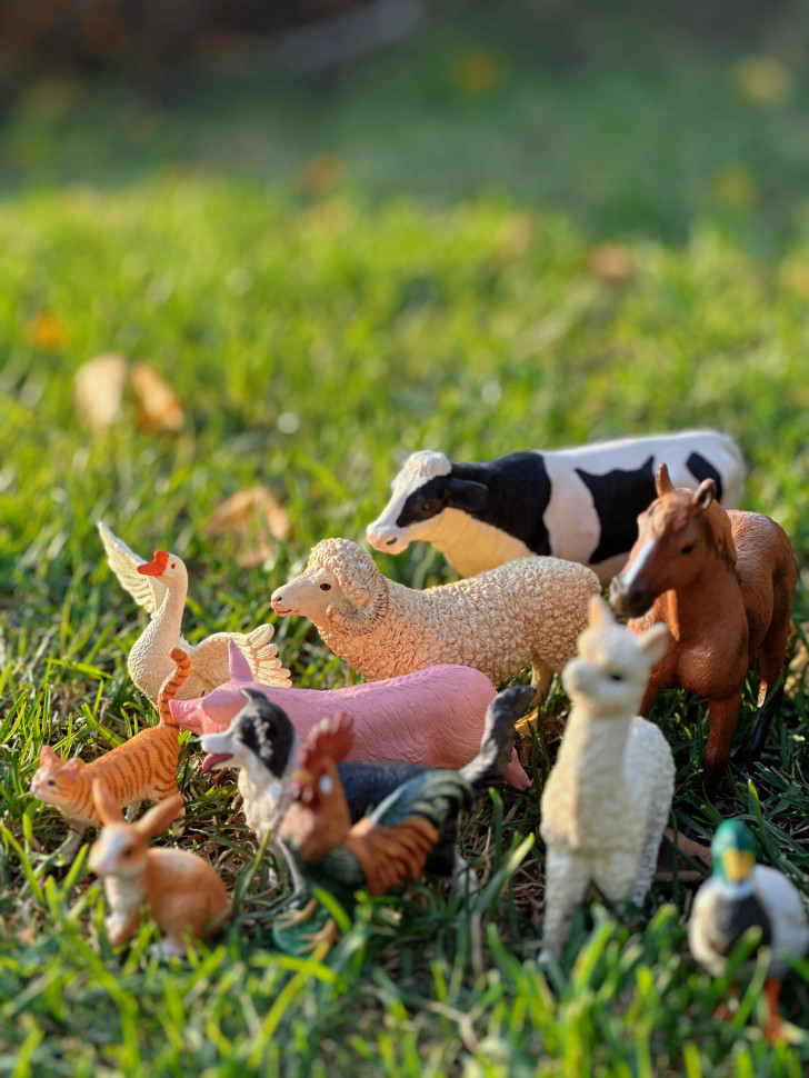 Бокс фігурок "Свійські тварини/ ферма"  від mideer , md2263